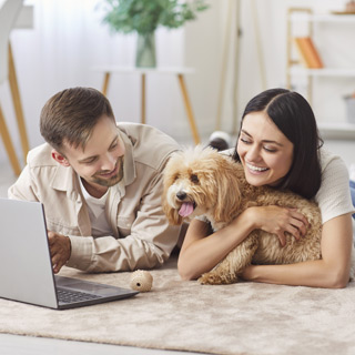 Virtual Dog Training
